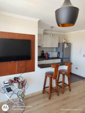 Departamento en villarrica con linda vista al volcán